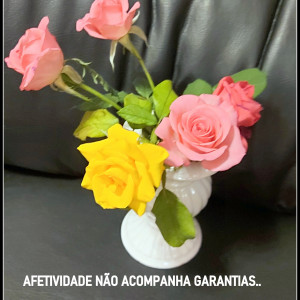 AFETIVIDADE